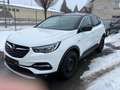 Opel Grandland X 120 Jahre Weiß - thumbnail 6