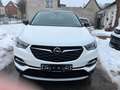 Opel Grandland X 120 Jahre Weiß - thumbnail 5
