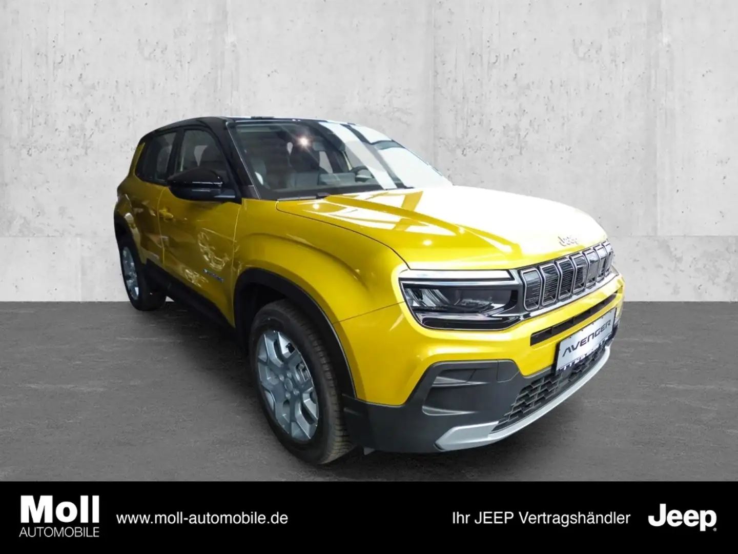 Jeep Avenger Altitude Winter Paket 17 Zoll AWR LED Gelb - 1