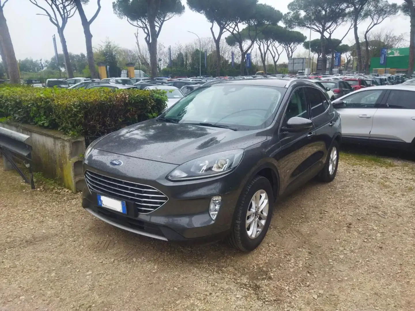 Ford Kuga 1.5cc TITANIUM 2WD 150cv NAVI ASSIST CORSIA Gri - 2