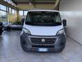 Fiat Ducato - thumbnail 2