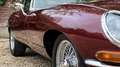 Jaguar E-Type Series 1 3.8 Litre Coupé restored condition, histo Rojo - thumbnail 33