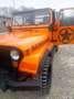 Jeep CJ-7 Renegade Portocaliu - thumbnail 6