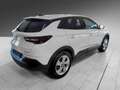 Opel Grandland X 10x an Lager 80x im Zentrallager Blanc - thumbnail 2