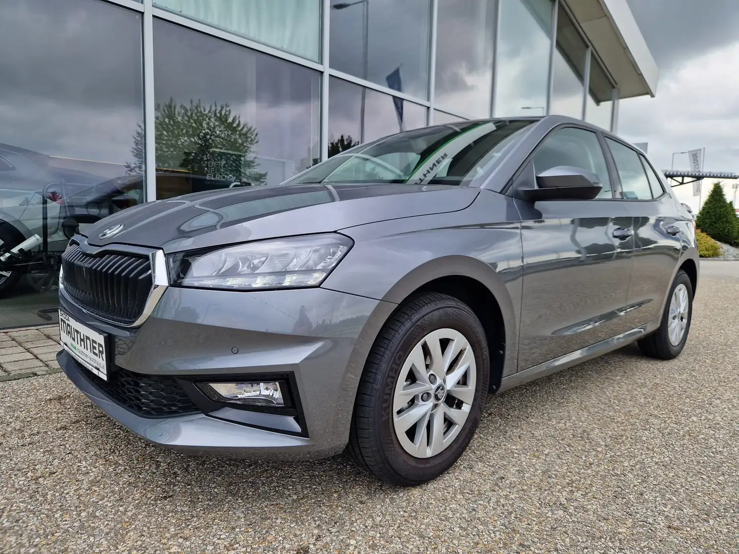 Skoda Fabia Selection Grau - 1