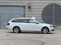 Skoda Octavia 2,0 TDI Style Limited 4x4 / PanoDach / AHK ... Weiß - thumbnail 1