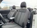 Volkswagen T-Roc Cabrio Aktionspreis! Gültig nur bis zum 28 Juni! Weiß - thumbnail 13