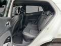 Kia Sportage 1.6T GT-Line AWD+Glasdach+360°+LED Blanc - thumbnail 10