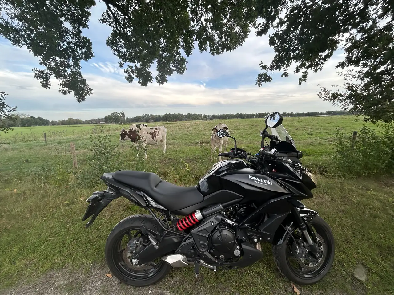 Kawasaki Versys 650