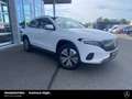 Mercedes-Benz EQA 300 EQA 300 4M Progressive 18" Vorr.-Distronic LED Tel Weiß - thumbnail 2