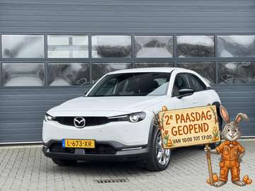 E-SKYACVTIV 145 COMFORT 36 KWH (95% SOH) I 2E PAAS