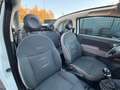 Fiat 500 Pop Cabrio´ Blanc - thumbnail 16