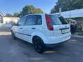 Ford Fiesta Ambiente 1,3 8V / Neues Pickerl Weiß - thumbnail 5