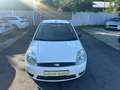 Ford Fiesta Ambiente 1,3 8V / Neues Pickerl Weiß - thumbnail 2