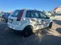 Ford Fiesta Ambiente 1,3 8V / Neues Pickerl Weiß - thumbnail 4