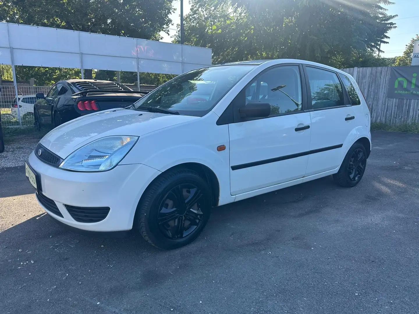 Ford Fiesta Ambiente 1,3 8V / Neues Pickerl Weiß - 1