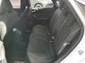 Ford Puma 1.0 EcoBoost Hybrid TITANIUM Blanc - thumbnail 8