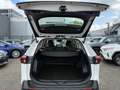 Toyota RAV 4 RAV4 2.5l Business Edition+ +Sitzheizung+LED+PDC+ Alb - thumbnail 20
