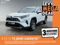 Toyota RAV 4 RAV4 2.5l Business Edition+ +Sitzheizung+LED+PDC+ Blanco - thumbnail 1