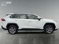 Toyota RAV 4 RAV4 2.5l Business Edition+ +Sitzheizung+LED+PDC+ Alb - thumbnail 7