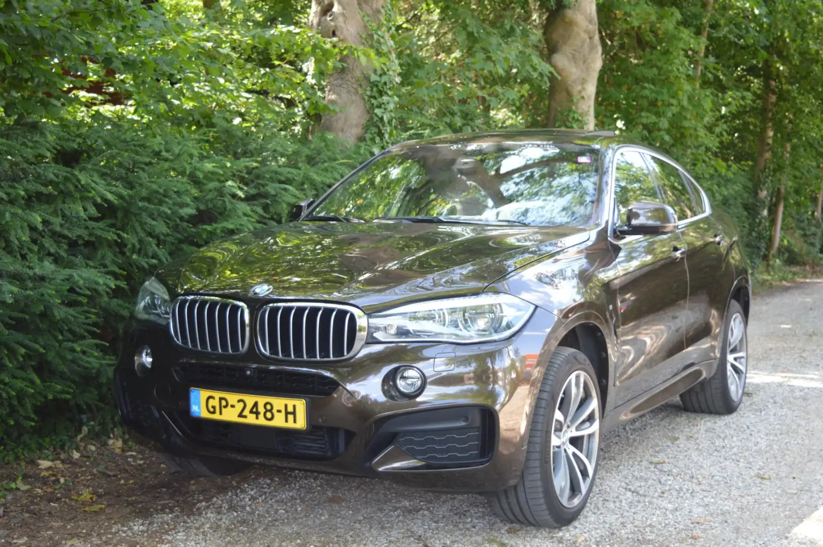 BMW X6 XDrive40d High Exe Org NL/NAP/DAK/Head-up/dealer o Marrón - 2