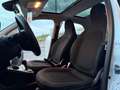 smart forFour 90 CV Turbo Passion TETTO  (NESSUN VINCOLO) Bianco - thumbnail 13