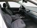 Kia Niro Long Range Weiß - thumbnail 14