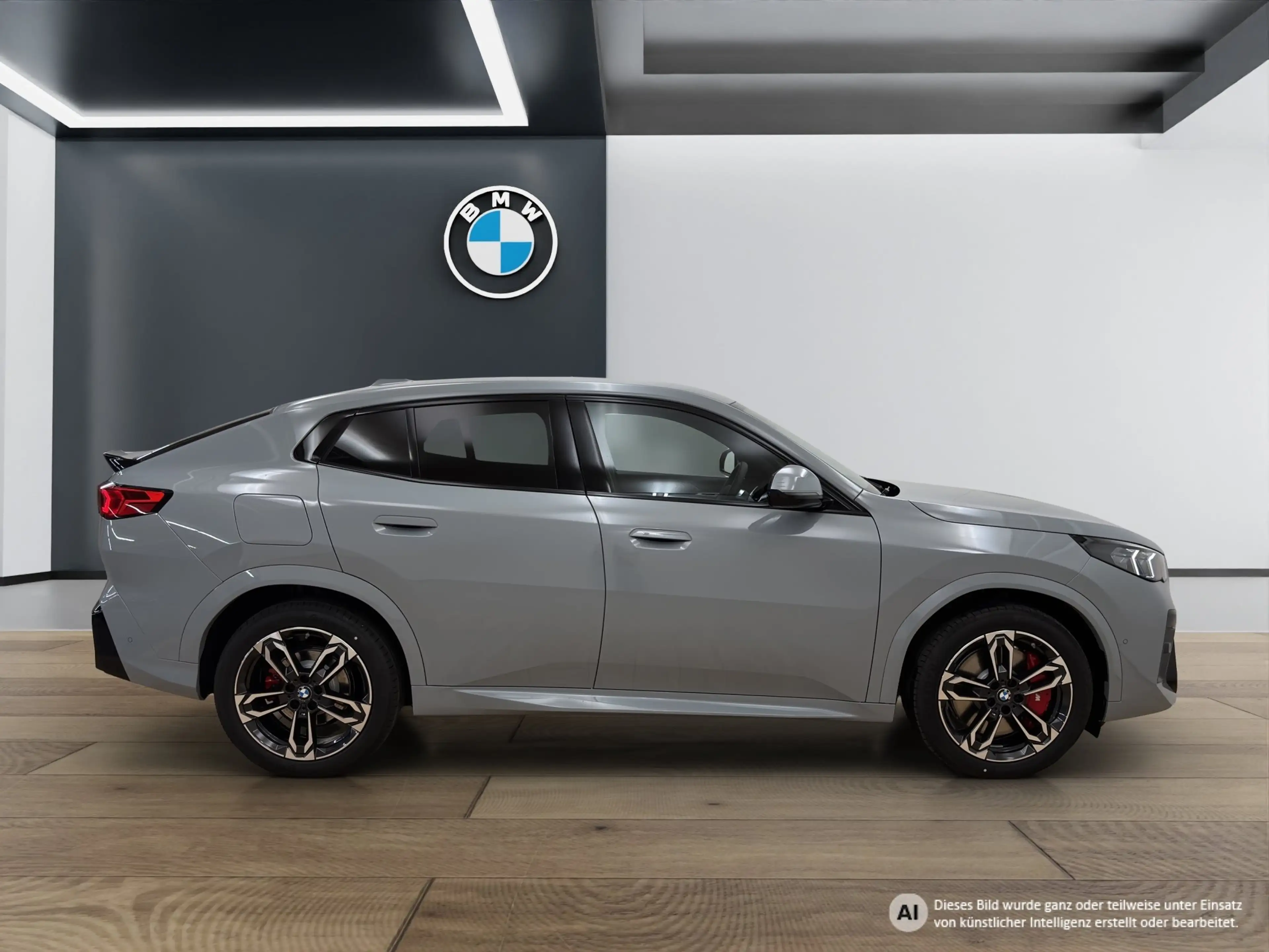 BMW iX2 eDrive20 [M Sport Pro, AHK, ACC, 19" LMR, RFK] — photo 8