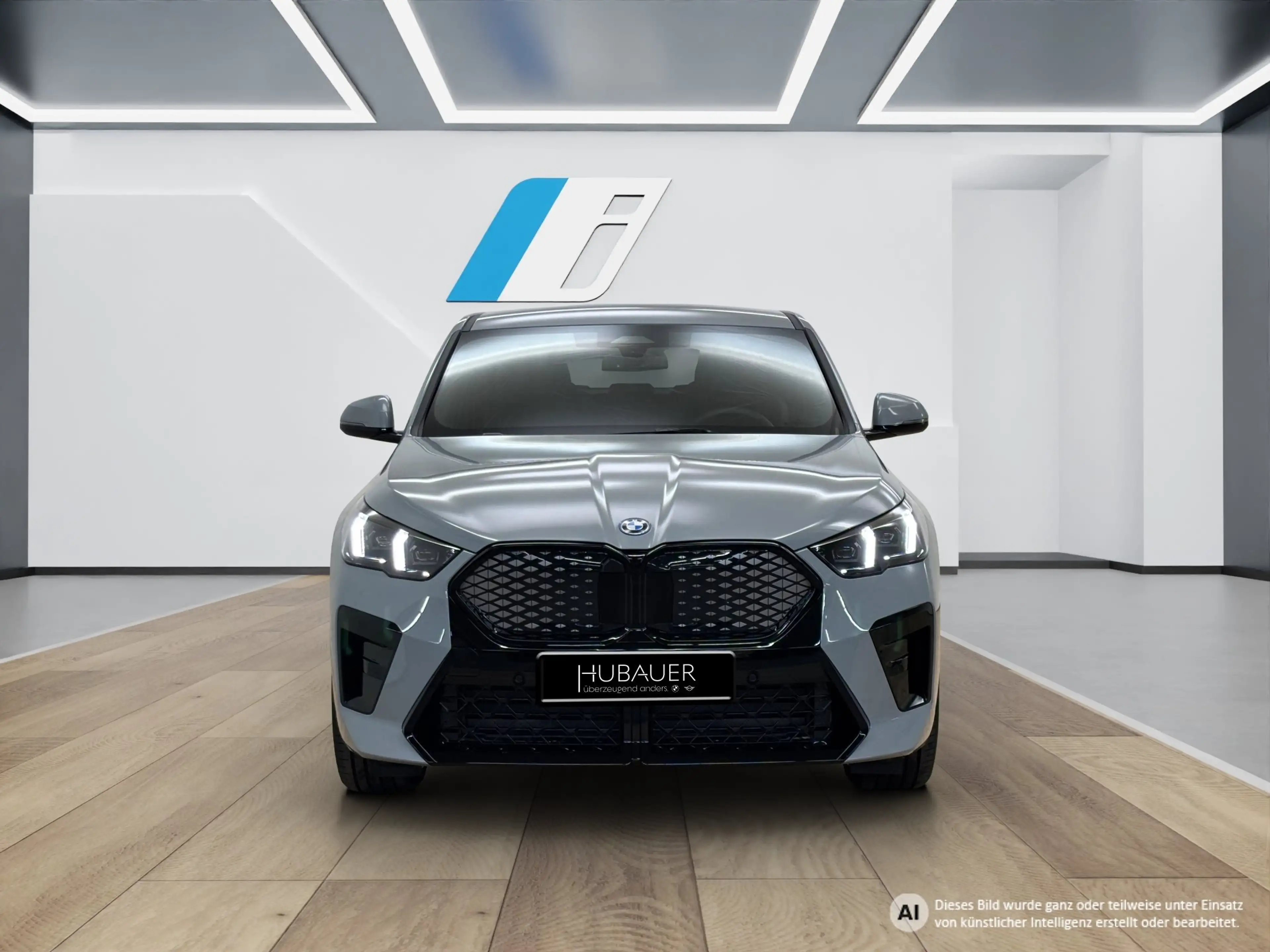 BMW iX2 eDrive20 [M Sport Pro, AHK, ACC, 19" LMR, RFK] — photo 10