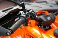CF Moto CForce 450 L DLX EPS LOF, sofort lieferbar Oranje - thumbnail 17