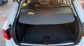 Audi A4 allroad A4 allroad 2.0 TDI 190 CV cl.d. Business Plus Bianco - thumbnail 20