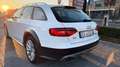 Audi A4 allroad A4 allroad 2.0 TDI 190 CV cl.d. Business Plus Bianco - thumbnail 4