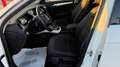 Audi A4 allroad A4 allroad 2.0 TDI 190 CV cl.d. Business Plus Bianco - thumbnail 8