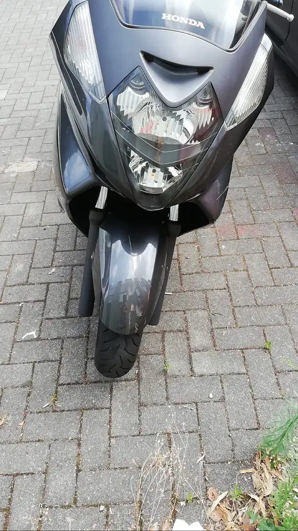 Honda Silver Wing Szürke - 2