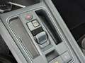 CUPRA Formentor Formentor 2.0 TDI 4Drive (E6d) AHK+LED+ACC+PDC+ Schwarz - thumbnail 21
