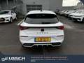 CUPRA Leon VZ Blanc - thumbnail 6