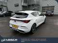 CUPRA Leon VZ Blanc - thumbnail 5