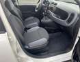 Fiat Panda 0.9 85cv 4x4 - PREZZO REALE! Bianco - thumbnail 6