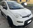 Fiat Panda 0.9 85cv 4x4 - PREZZO REALE! Bianco - thumbnail 2