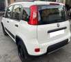 Fiat Panda 0.9 85cv 4x4 - PREZZO REALE! Bianco - thumbnail 4