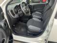 Fiat Panda 0.9 85cv 4x4 - PREZZO REALE! Bianco - thumbnail 7