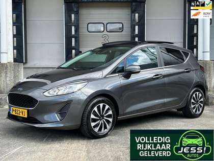 Ford Fiesta 1.0 EcoBoost Hybrid Titanium X / Pano / Camera