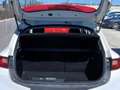 Kia Stonic 1.0 TGDi 74kW 100CV MHEV iMT Concept Blanco - thumbnail 9