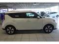 Kia Soul e- Inspiration HUD Navi Leder Soundsystem S White - thumbnail 4