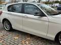 BMW 116 Serie 1 F/20-21 2011 116d 5p Urban Bianco - thumbnail 1