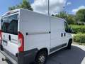 Fiat Ducato Ducato L1H1 Weiß - thumbnail 12