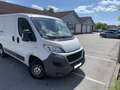 Fiat Ducato Ducato L1H1 Weiß - thumbnail 13