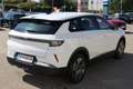 Opel Grandland 1.2 MHEV Edition Aut. Weiß - thumbnail 5