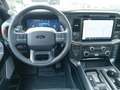 Ford F 150 Raptor 3.5L V6 EcoBoost® SuperCrew® N1 Grau - thumbnail 12