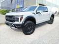 Ford F 150 Raptor 3.5L V6 EcoBoost® SuperCrew® N1 Grau - thumbnail 4